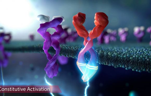 Hematological Cancers