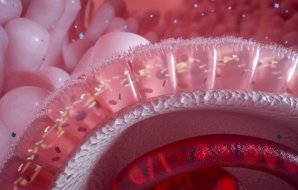 Gastrointestinal | Oncology