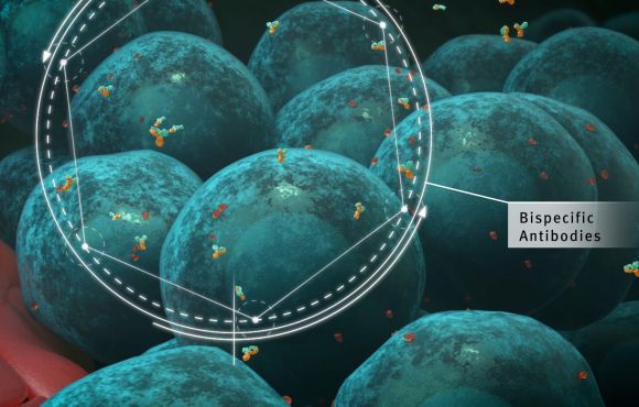 Hematological Cancers